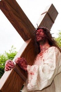 Way of the Cross : 2010-2011
