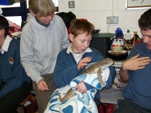 JCSP 2010-2011 : Animal Magic