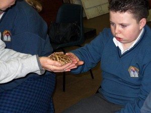 JCSP 2010-2011 : Animal Magic