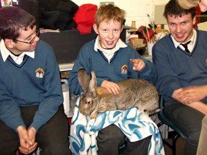 JCSP 2010-2011 : Animal Magic