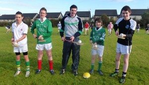 Limerick Senior Hurlers train Desmond College hurlers