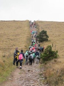 2011 First Year Hike
