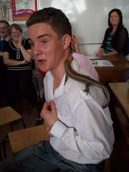 JCSP Desmond College : Summer Celebration : Animal Magic