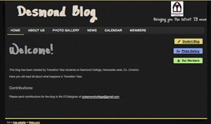 Link to Desmond College Transition Year Blog