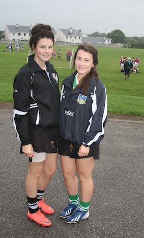 Desmond College Hurling and Camogie Primary School Blitz 2013