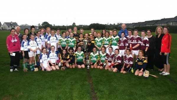 Camogie Blitz 2013