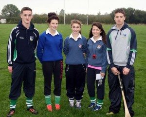 Desmond College Hurling and Camogie Primary School Blitz 2013