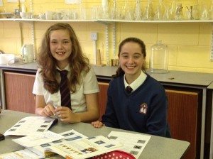 Desmond College First Year Students 2014-2015