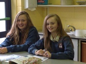 Desmond College First Year Students 2014-2015