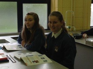 Desmond College First Year Students 2014-2015