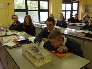 Desmond College First Year Students 2014-2015