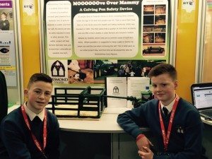 Desmond College Students Enjoying the BT Young Scientist : A Calving Pen Safety Device