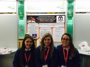 Desmond College Students Enjoying the BT Young Scientist : A statistical investigation into the treatment of the varroa mite and its effects on the native irish apis mellifera mellifera (AMM)